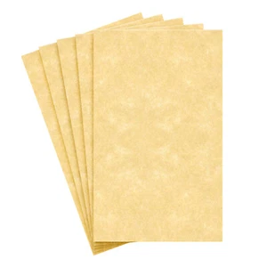8.5 x 14 New Champagne Stationery Parchment Paper, 24lb Bond/60lb Text, 50 Qty - Picture 1 of 7