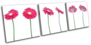 Flowers BOTANICAL Floral TREBLE CANVAS WALL ART Picture Print VA - Picture 1 of 1
