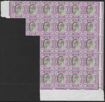 SUDÁFRICA - TRANSVAAL 1904-09. 2d. MNH BLOQUE MARGINAL DE 23. SG. 262.  (D195) Foto 1 de 2