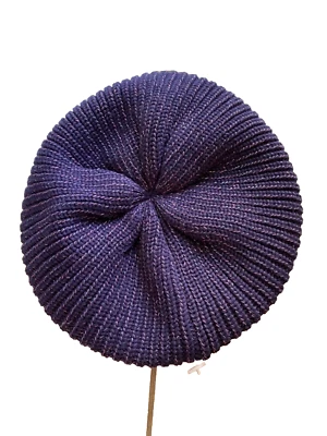 $25 Gymboree Holiday Festive Girl knit beret purple golden threads size XS/S NEW - Image 1 of 4