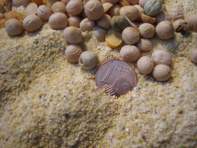 3,18 EUR / Kg ERBSENMEHL 2,5Kg Erbsenprotein - Bild 1 von 1