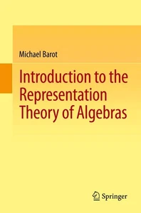 Introduction to the Representation Theory of Algebras - Picture 1 of 1