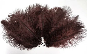 Chocolate Brown Ostrich Feather 8-12 inch size per SIX (6) - Picture 1 of 1
