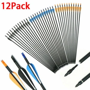 12Pcs 30 inch Archery Carbon Arrows Hunting Arrowheads for Recurve Compound Bow - Picture 1 of 19