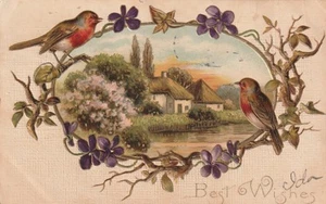 Alte Postkarte Beste Wünsche Landhaus Szene mit Vögeln 1909 - Bild 1 von 2