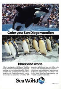 Pubblicità stampa vintage Sea World 1985: Color Your San Diego Vacation - Foto 1 di 1