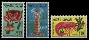 Marruecos 1965 - Mi-Nr. 553-555 ** - MNH - Crustáceos / Crustáceos - Imagen 1 de 1