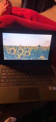 HP Chromebook 11 11.6 inch (16GB, Intel Celeron N, 2.16GHz, 4GB RAM) Chromebook - Image 1 of 4