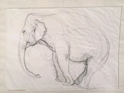 Dessin Ancien D'éléphant Au Crayon Sur papier Ingres Arches Vers 1900 - Photo 1/4