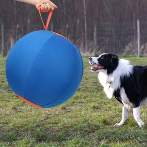 Dogs Herding Ball Horse Ball Large Ball With Air Pump For Play Hurding Ball - Picture 1 of 10