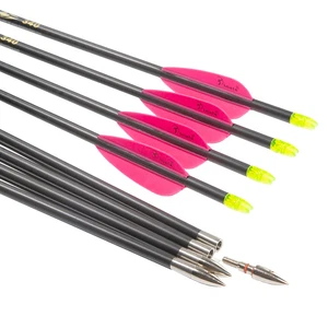 .204" 400 Spine Hunting Archery Compound Bow Carbon Arrows 12PC - Picture 1 of 9