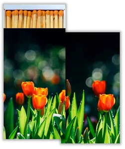 Tulips Large Decorative Candle and Fireplace Wooden Matches - One Box (1) - Picture 1 of 2