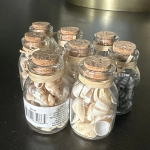 Cork Jar of Seashells Set Of 8 new Shell Lot Sea Shells Resin Accessories Ocean - Picture 1 of 6