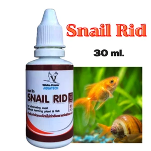 Snail Rid Infestation Pest Get Rid Shellfish in Tank Control Aquarium Fish Pond - Picture 1 of 5