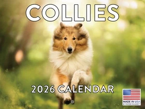 Collie Calendar 2026 Monthly Wall Calender 12x18 - Picture 1 of 6