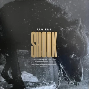 ALGIERS - SHOOK - 2  LPs/Vinyls in Gold -Electronic-Hip Hop-Funk- NEU in Folie - Bild 1 von 3