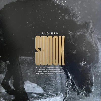 ALGIERS - SHOOK - 2  LPs/Vinyls in Gold -Electronic-Hip Hop-Funk- NEU in Folie - Bild 1 von 3