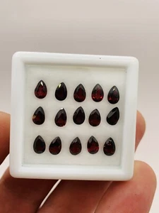 Lot 15 Grenats 0,5ct (7,5ct Total) FMG Gemstones - Picture 1 of 4