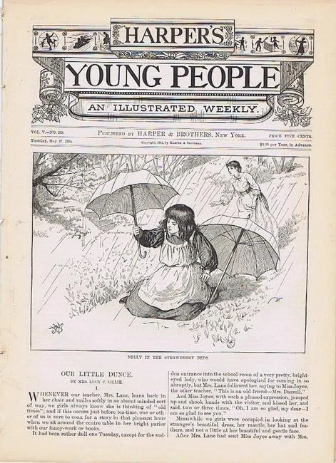 Harper's Young People, May 27, 1884,  Palmer Cox illustrations - Image 1 of 1
