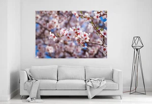 Impresión en Lienzo Impresión Arte de Pared Enmarcado Racimo de Flores Rosa De Albaricoque - Imagen 1 de 3