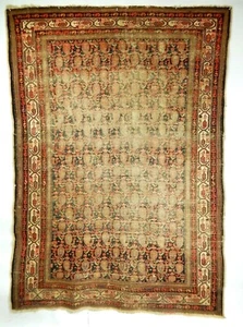Antico tappeto in pile di lana intrecciato a mano. Boteh Design 54" x 75". - Foto 1 di 12