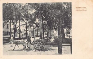 Suriname - PARAMARIBO - Jodenbreestraat - Publ. Eug. klein 18 - Bild 1 von 2