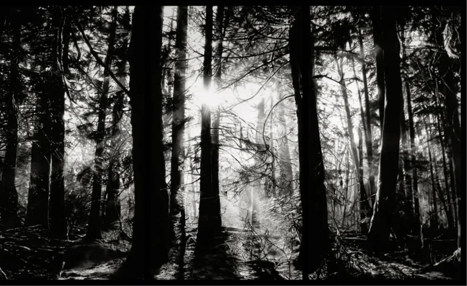 Robert Longo “Hercynian”  Foto 1 de 1