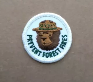 Vintage Smokey the bear Patch prevent forest fires 2" Round - Picture 1 of 5