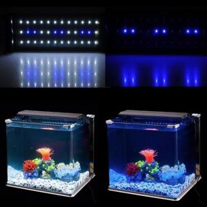 LED Aquarium Light Fish Tank Lights Extendable Hood Brackets White Blue 11"-19"