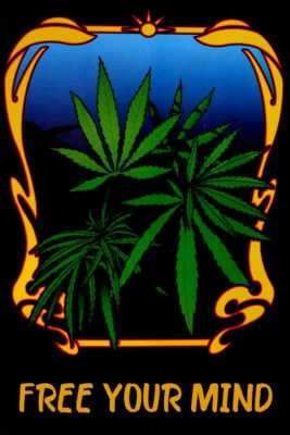 Póster Free Your Mind Marihuana Cannabis Meditación Arte Pared Habitación - PÓSTER 20x30 Foto 1 de 4