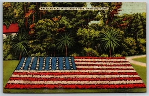 Vintage c1943 Linen Postcard American Flag in Elizabeth Park, Hartford, CT - Picture 1 of 2