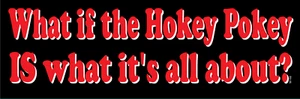 What if the Hokey Pokey Is what it's all about? Vinyl Bumper Sticker Decal M166 - Picture 1 of 1