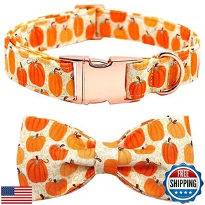 Collar de perro Bobo arco iris - Pajarita de calabaza de Halloween collar de moño suave con ajuste - Imagen 1 de 5