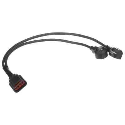 Delphi AS10277 Foto 1 de 4