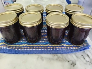 The Best Damn Blueberry Lemon Jam~Homemade~From My Property~Low Sugar~Half Pint~ - Picture 1 of 4