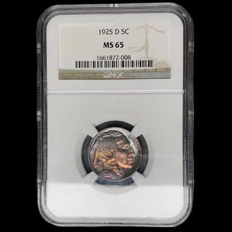 GORGEOUS COLOR 1925 D NGC MS-65 Buffalo Nickel  RSKK W0013 Cover