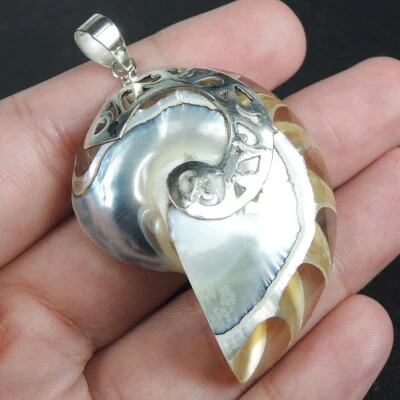 Gioielli con ciondolo in argento sterling 925 con conchiglia naturale traspar... - Immagine 1 di 4