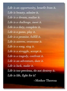 Mother Theresa Of Calcutta Inspiration Quote Life Is Precious Motivation Poster - Picture 1 of 6