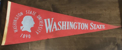 WASHINGTON STATE COUGARS VINTAGE FELT PENNANT RARE Cover