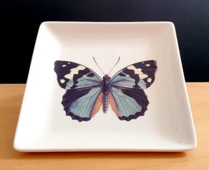 BUTTERFLY TRINKET DISH MAGPIE CURIOS TRAY JEWELLERY PLATE ENTOMOLOGY - Picture 1 of 2