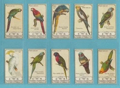 BIRDS - NOSTALGIA REPROS  (OF C.W.S.) - SET OF 25  PARROT  SERIES  CARDS - Image 1 of 4
