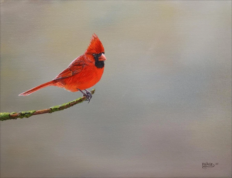 FRASE ORIGINAL PAINTING CARDINAL RED BIRD WILDLIFE ART Duck Stamp Artist - Image 1 of 1