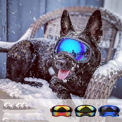Fashion Pet Dog Doggles Goggles UV Sunglasses Sun Glasses Eye Wear Protection~ - image 1 of 4
