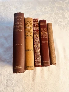 1800s Vintage Collection Of 5 Rich Colorful Books/Bookstack Decor/Aged & RARE - Imagen 1 de 14