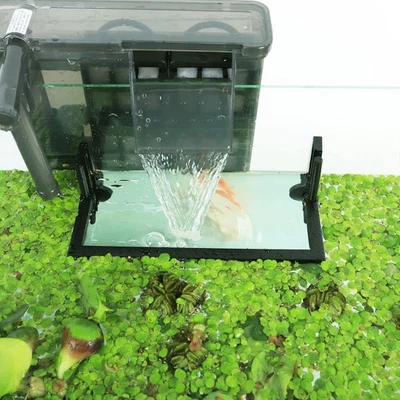 HOZOE Aquarium Floating Plant Corral, Intercepting Floating Plants from Filte...