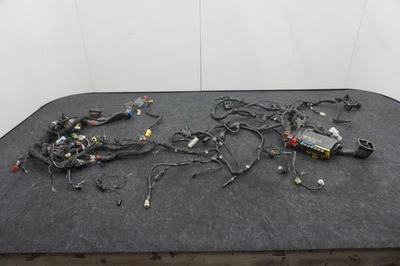 Front Main Body Wire Wiring Harness Cable 4865420AD Dodge Viper RT10 SR2 1996-02 - Image 1 of 4