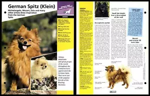 German Spitz (Klein) - Breed - Dogs Of The World Atlas Fact File Card - Picture 1 of 1