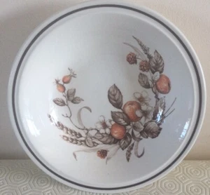 VINTAGE ROYAL TUDOR CROWN HARVEST 20 CM BOWLS WH GRINDLEY CO FREE POSTAGE - Picture 1 of 4