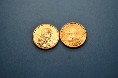 2002 P Sacagawea Native American Golden Dollar Cover
