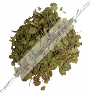 Dried Sidr Leaves Ziziphus Leaves Jujube ORGANIC 100% Natural 40g Hojas Azufaifo - Picture 1 of 1